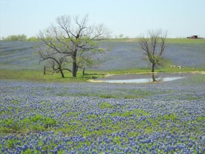 DSCN0662