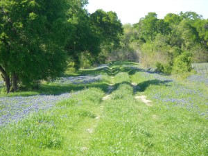 DSCN0682