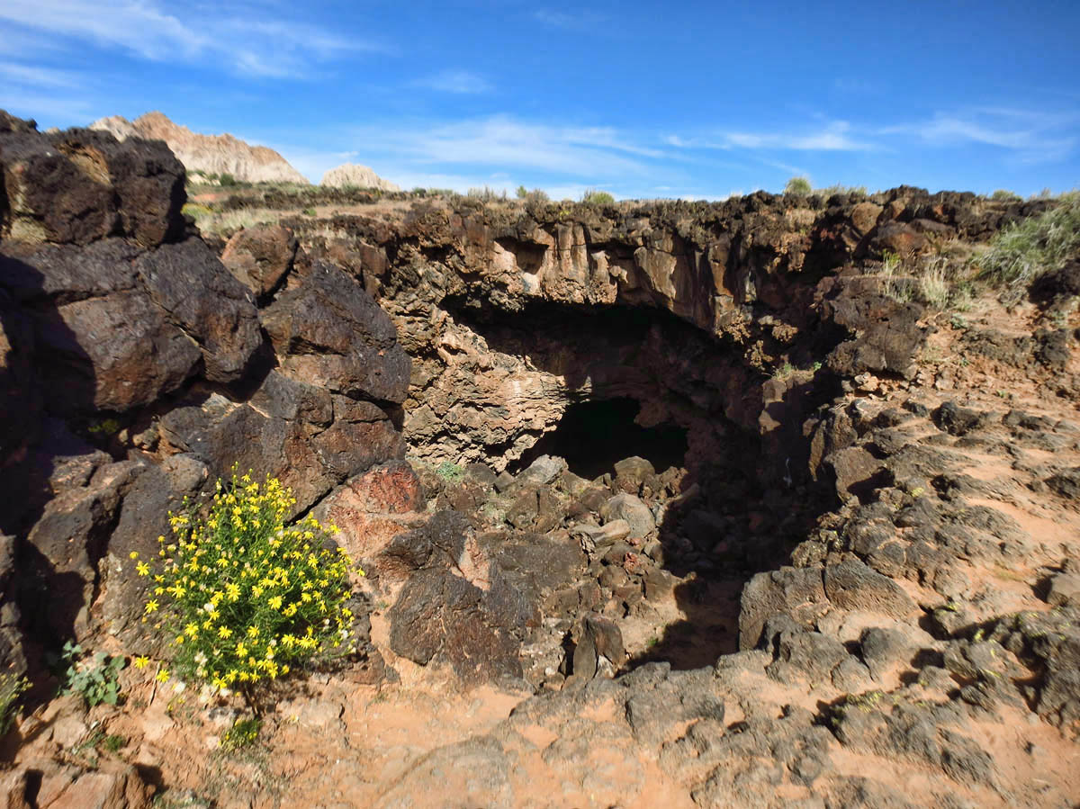 One of two lava caves in the park.