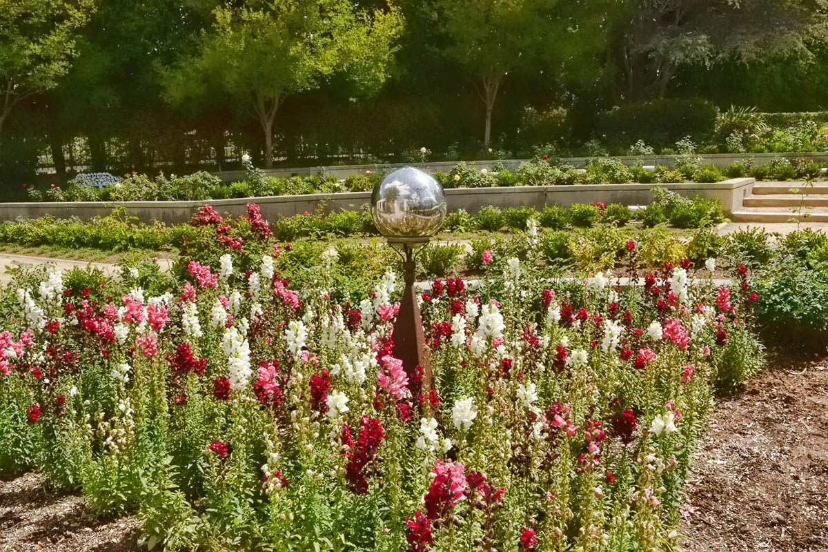 Pat Nixon's rose garden, only no roses, only bushes and other flowers.