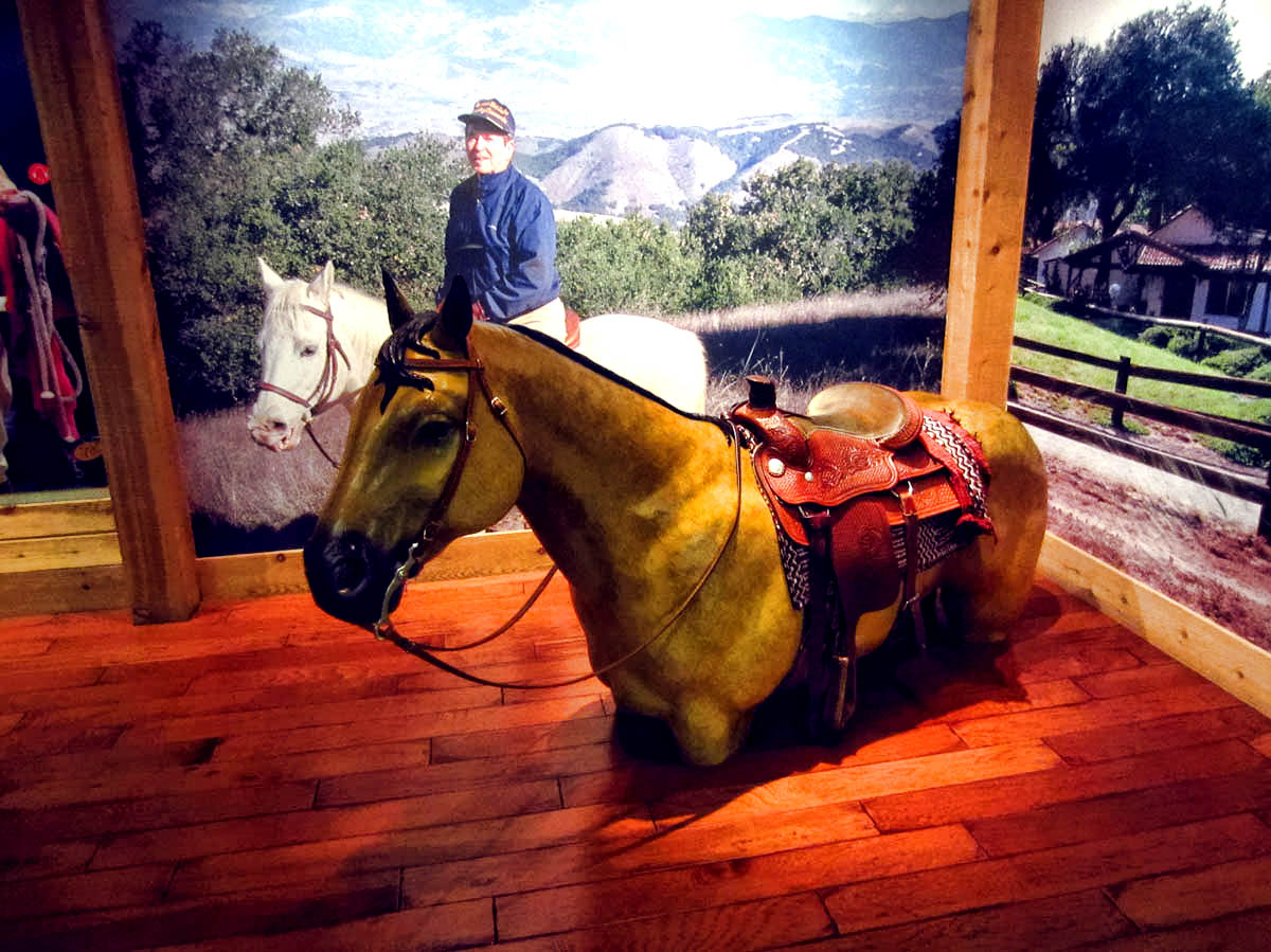Saddle up and have your photo taken while riding with Reagan.