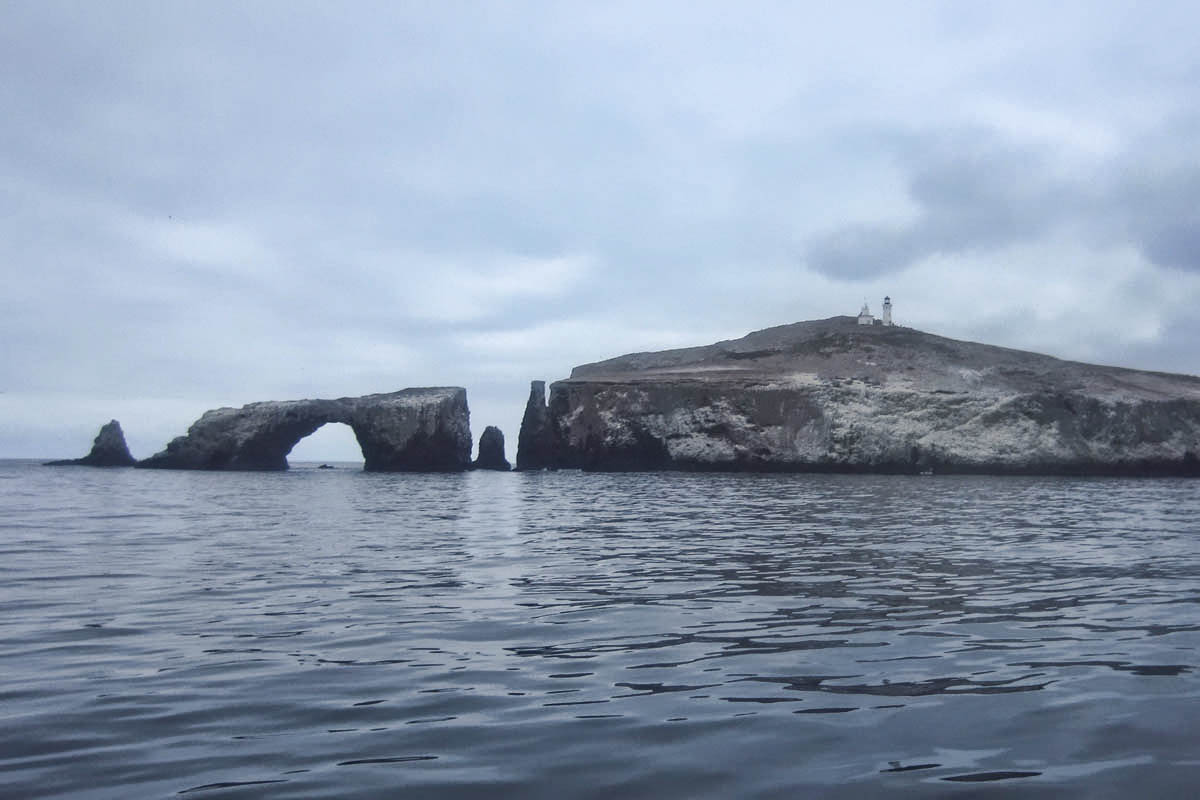 The iconic Channel Islands Arch comes into view as we approach the harbor.