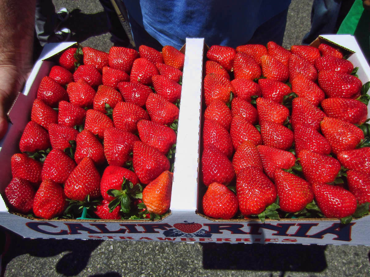Love how the "non-organic" strawberries line up.