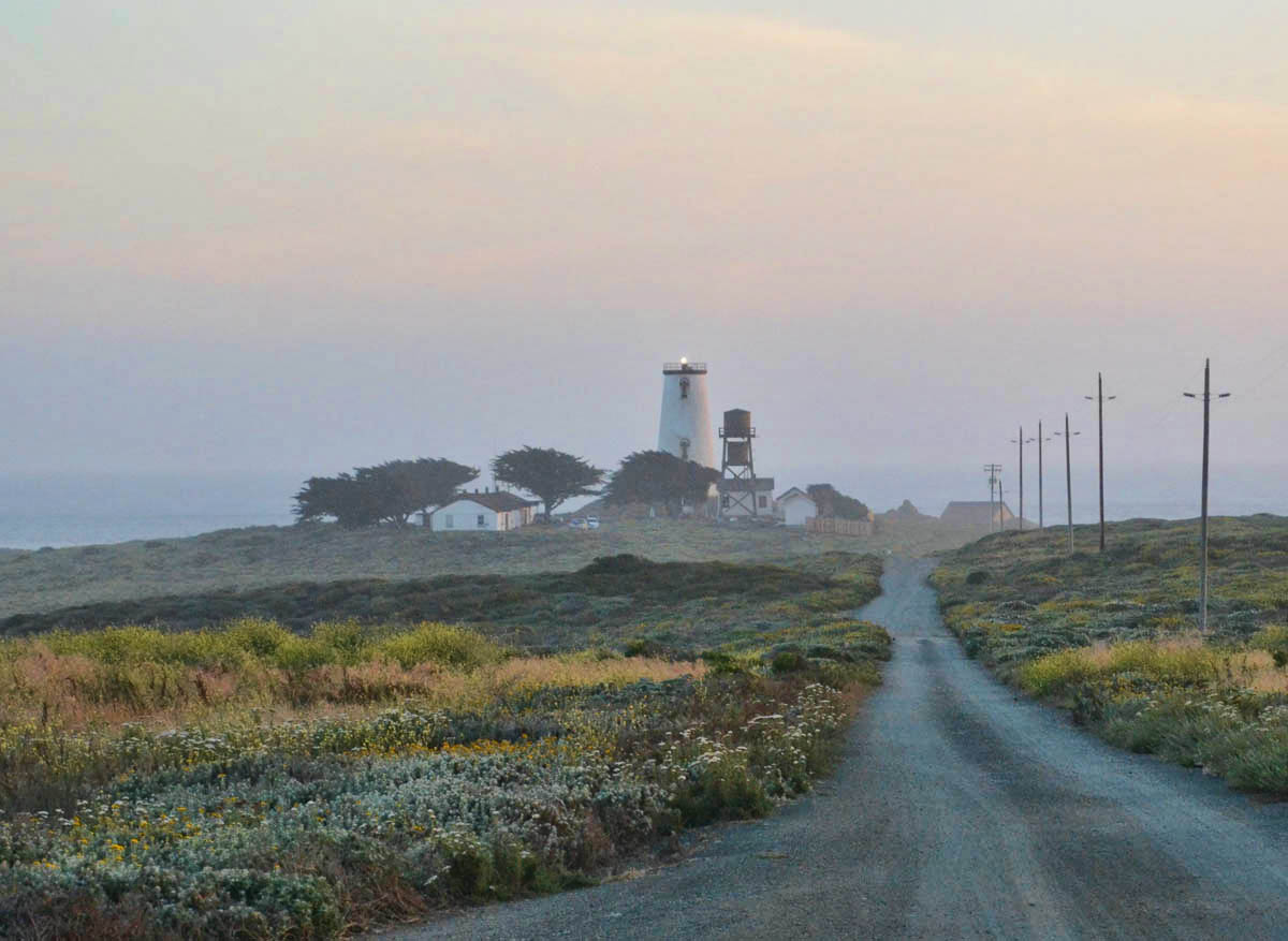 Piedras Blancas Light Station near San Simeon, constructed in 1875. Now a historical park and wildlife sanctuary, accessible only by guided tour.