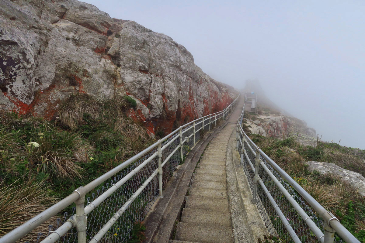 The 300 stairs leading down to the lighthouse. Some kind of red lichen or algae is growing all over these rocks.