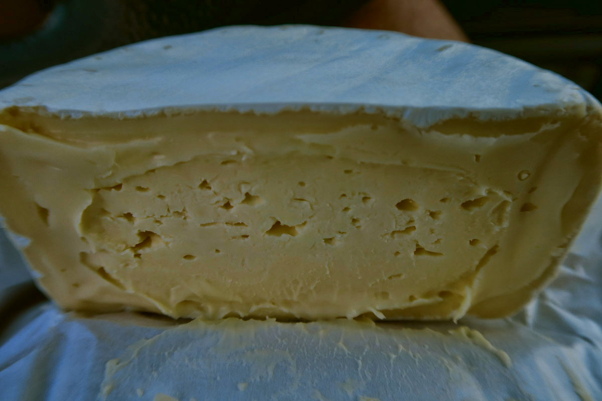 This "Mt Tam" cheese from Cowgirl Creamery is heavenly!