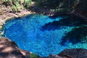 The incredible Tamolitch Blue Pool. (Note people on far side for perspective.) Though it appears shallow, it is approx 30 ft at the deep end.