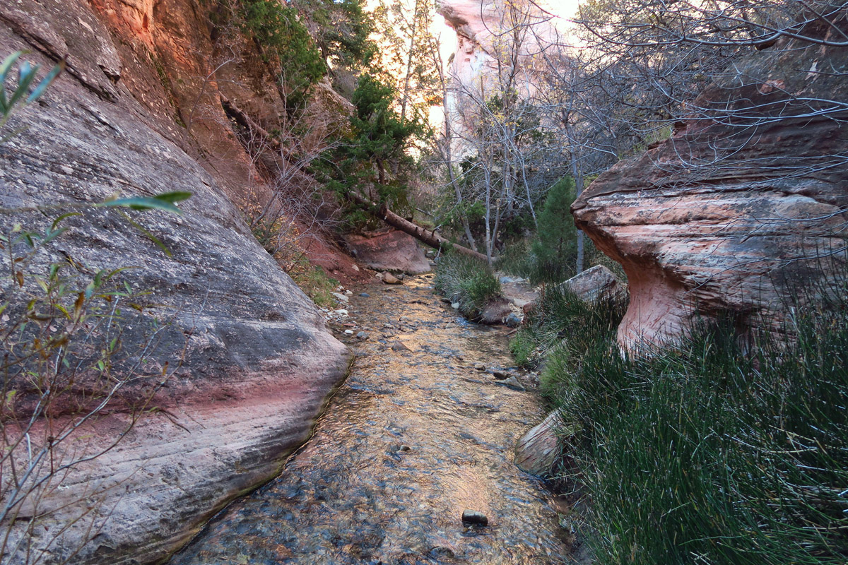 Light reflecting off canyon walls makes Kanarraville Creek take on a copper-colored glow.