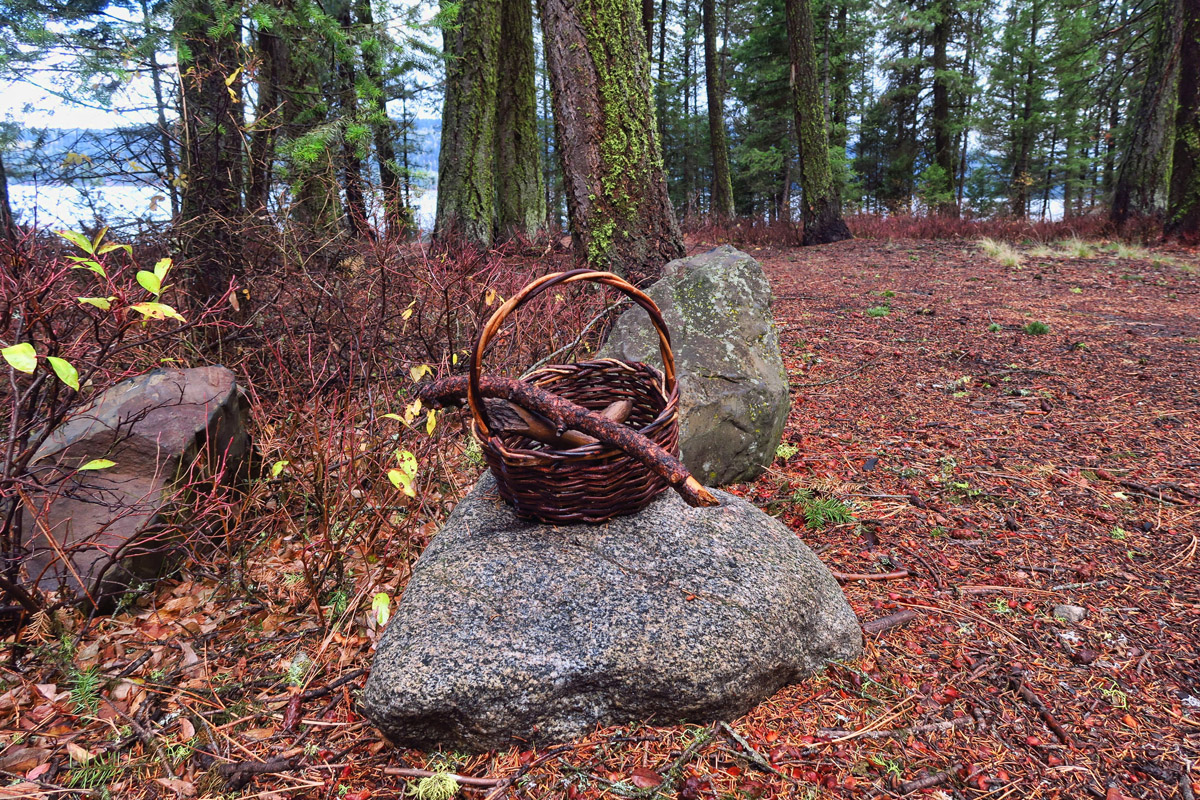 Strange to be hiking along and come across this basket of sticks in the middle of the forest. I looked around for Gretel! 
