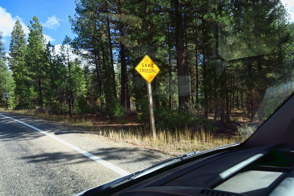 I hadn't noticed until Don pointed it out, but instead of "Wildlife Crossing," the signs in Idaho say "Game Crossing." Fair game?
